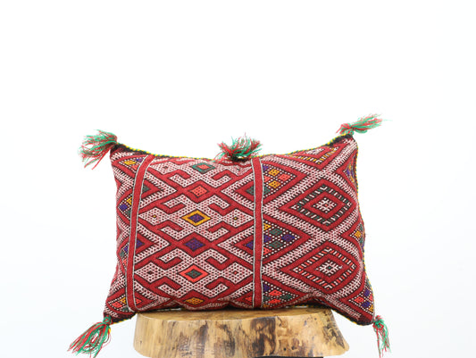 Limovera Imedghas Vintage Kilim Pillow